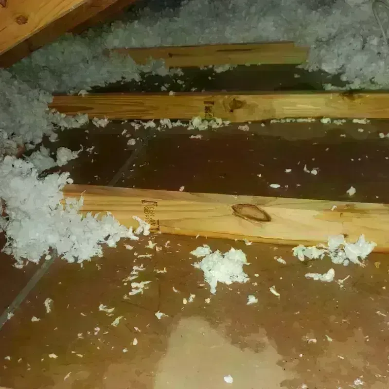 Attic Water Damage in Kiln, MS