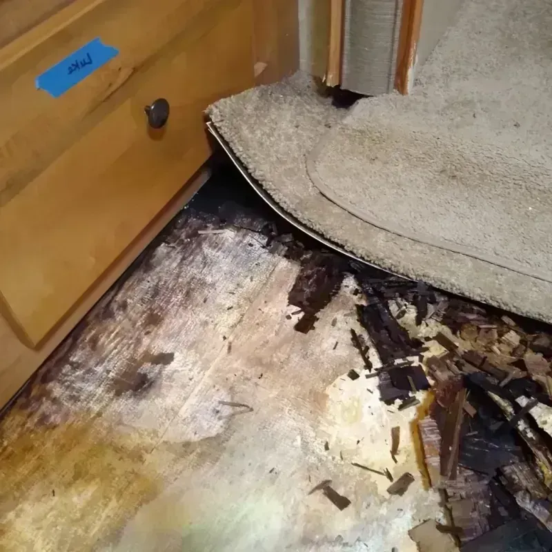 Best Wood Floor Water Damage Service in Kiln, MS